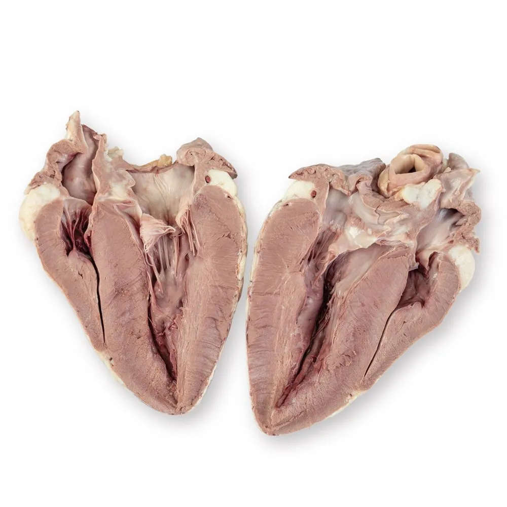 Wholesale Frozen Sheep Hearts - Image 3