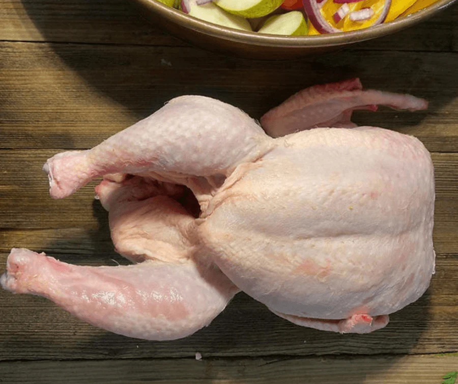 Wholesale frozen Chicken